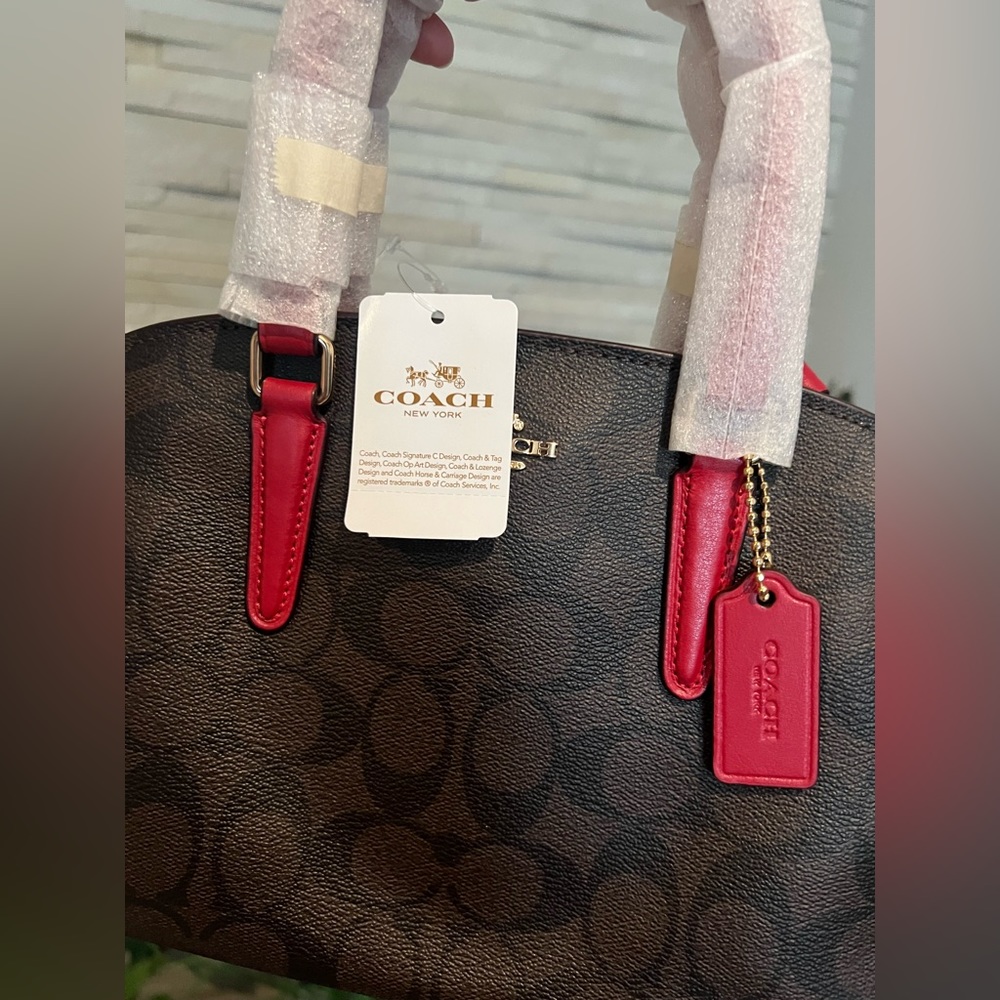 COACH Mini Sage Caryall Shoulder Bag/Crossbody Bag - Picture 5 of 9